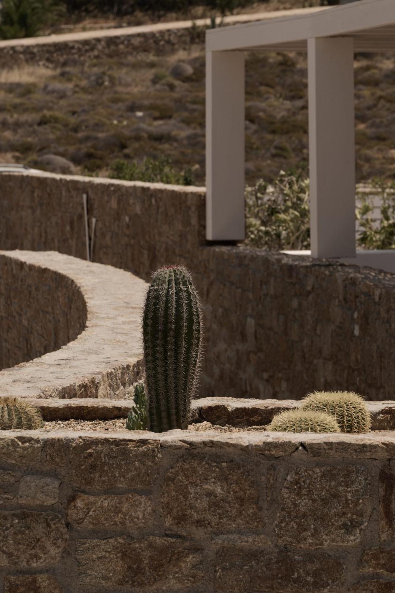 Yi Hotel Mykonos Elia  ภายนอก รูปภาพ